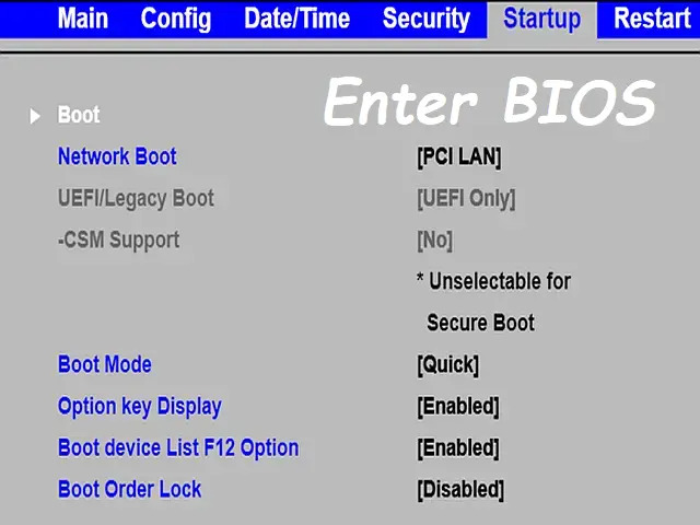 Enter BIOS