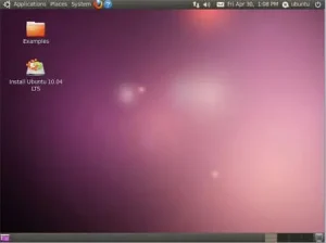 Ubuntu 10.04 Desktop Screenshot