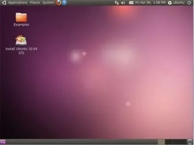 Ubuntu 10.04 Desktop Screenshot