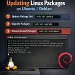 Updating Linux Packages