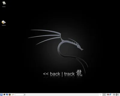 backtrack running from usb