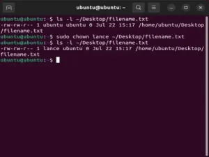 change ownership of file linux