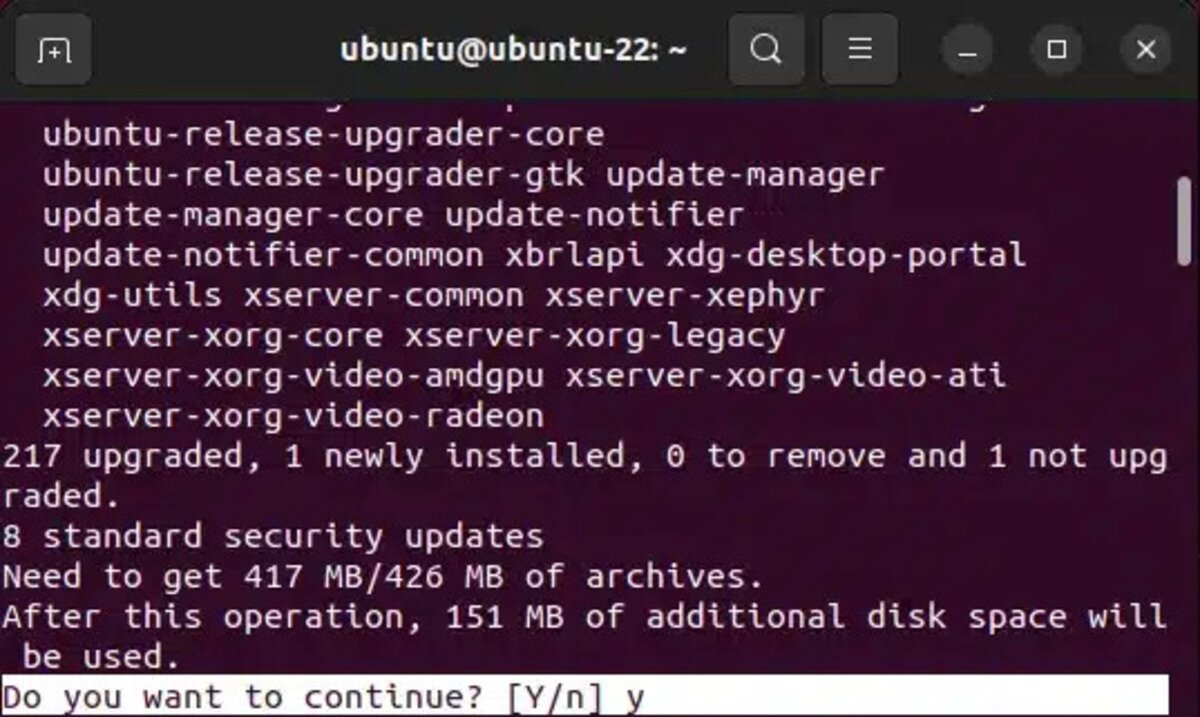 Press Y to continue apt upgrade