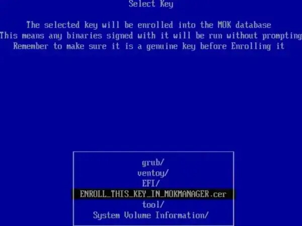 Secure Boot - Enroll this key