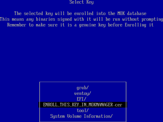 Secure Boot - Enroll this key