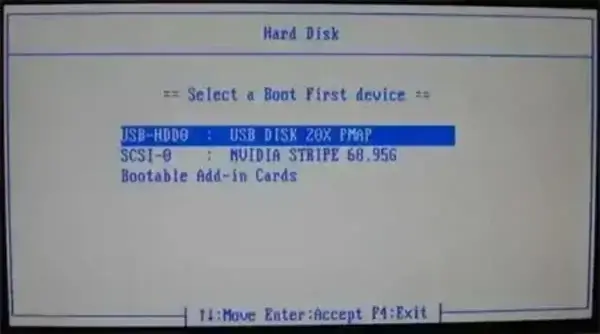 make the usb drive the first boot device