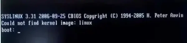 Fix Could Not Find Kernel Image Linux Error