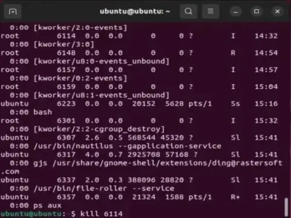 kill process Linux
