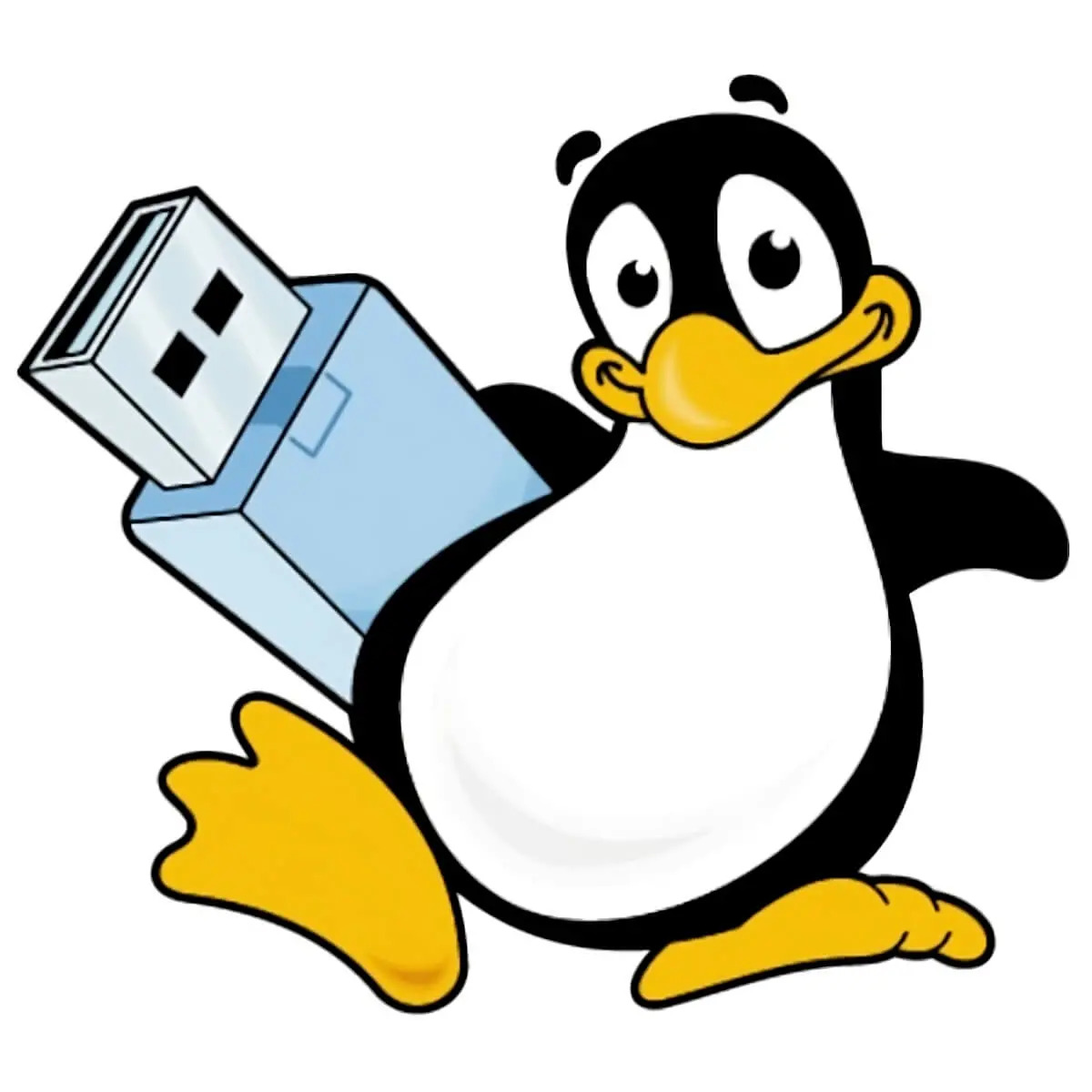 Make USB Drives Pen Drive Linux