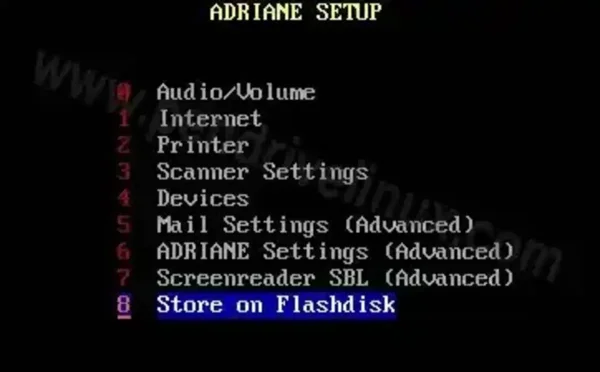 Select the option to Store on Flashdisk