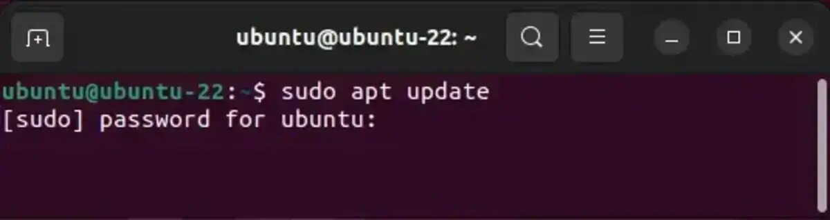 sudo apt update
